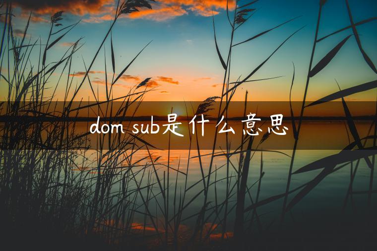 dom sub是什么意思