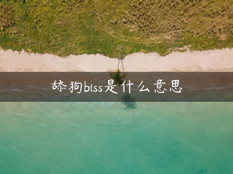 舔狗biss是什么意思