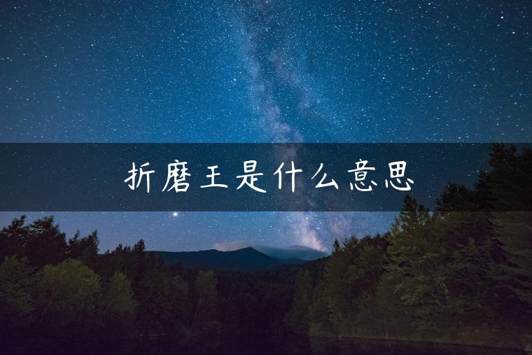 折磨王是什么意思