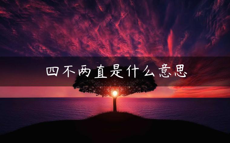 四不两直是什么意思