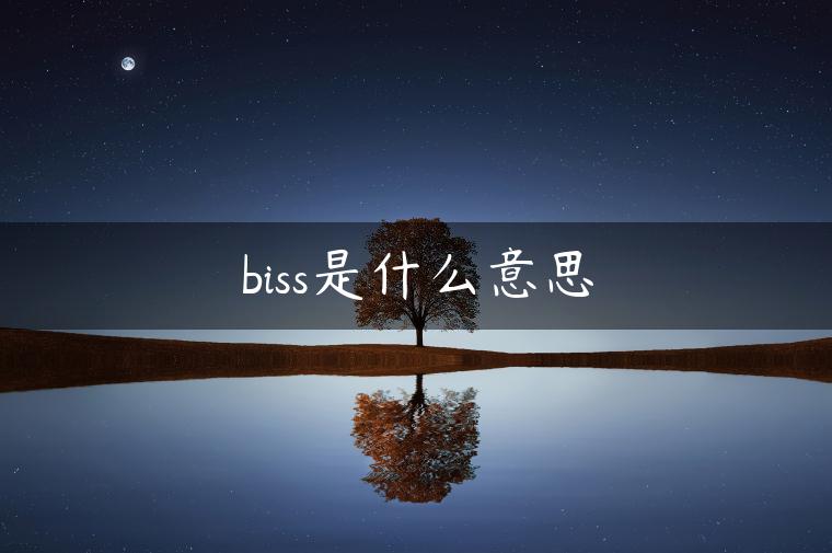 biss是什么意思