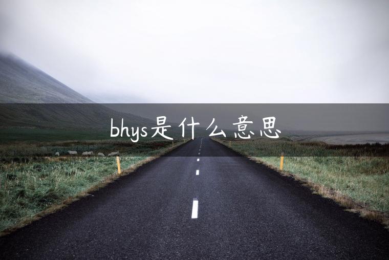 bhys是什么意思