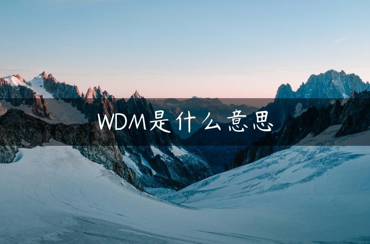 WDM是什么意思