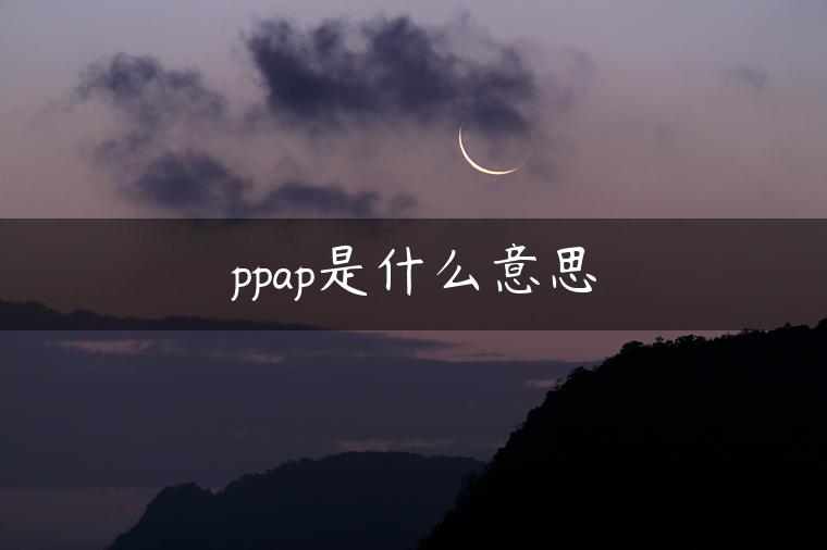 ppap是什么意思