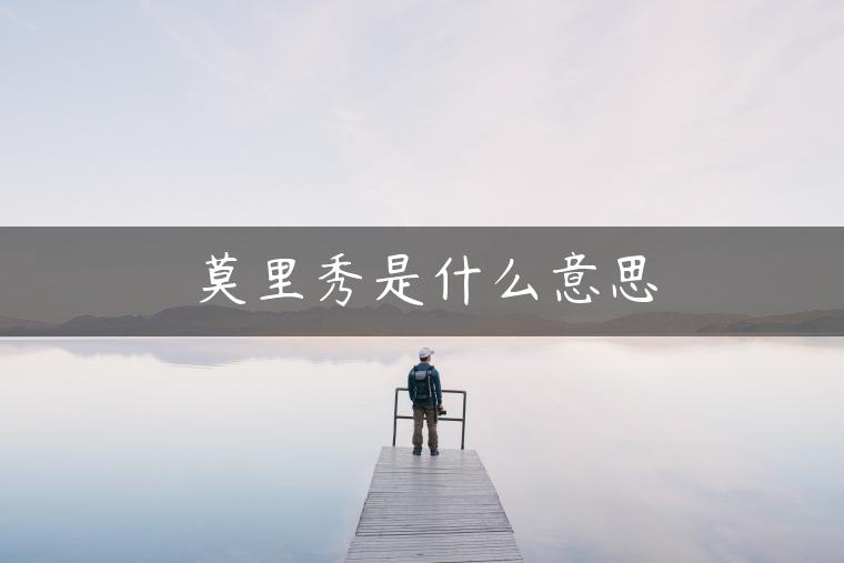 莫里秀是什么意思