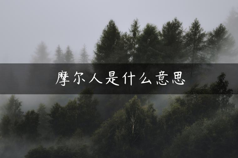 摩尔人是什么意思