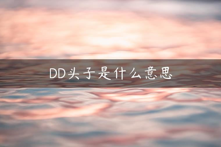 DD头子是什么意思