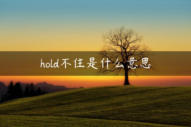 hold不住是什么意思