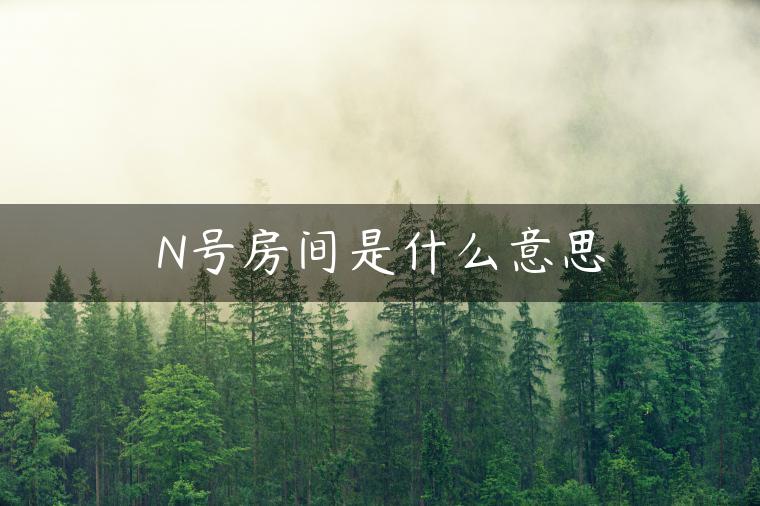 N号房间是什么意思