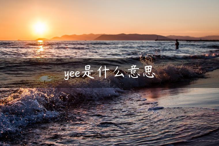 yee是什么意思