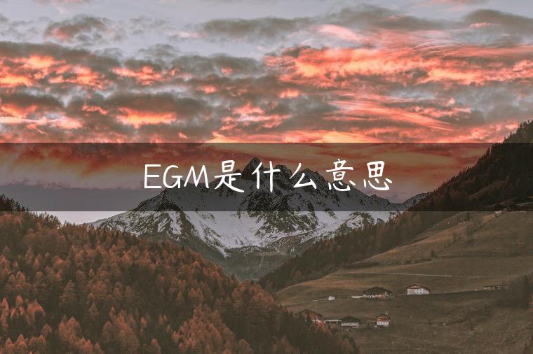 EGM是什么意思