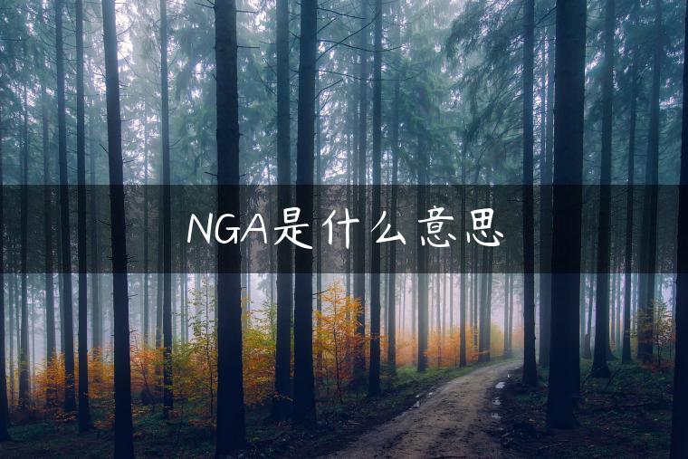 NGA是什么意思