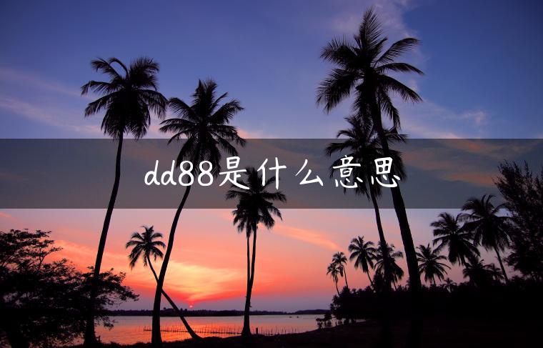 dd88是什么意思