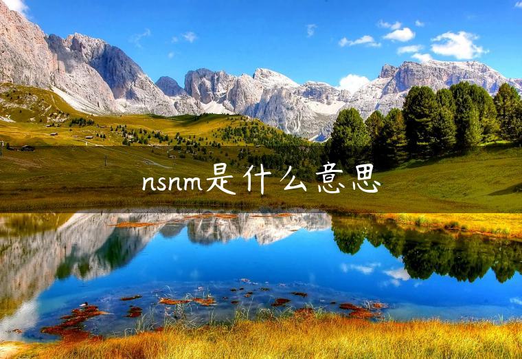 nsnm是什么意思