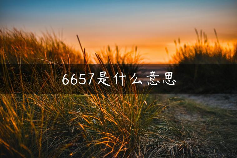 6657是什么意思