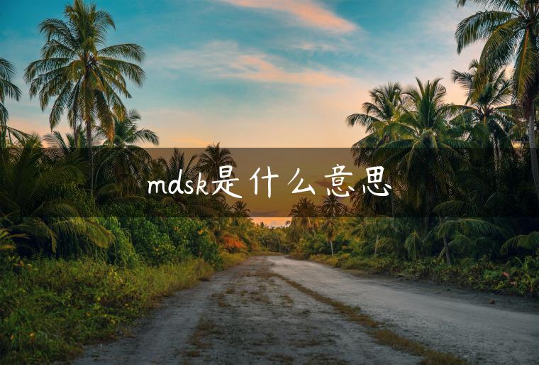 mdsk是什么意思