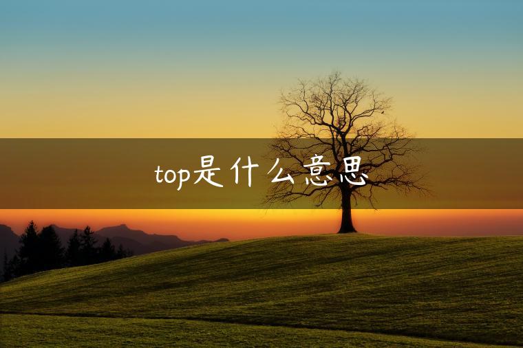 top是什么意思