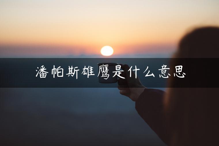 潘帕斯雄鹰是什么意思