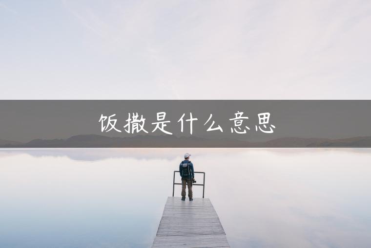 饭撒是什么意思