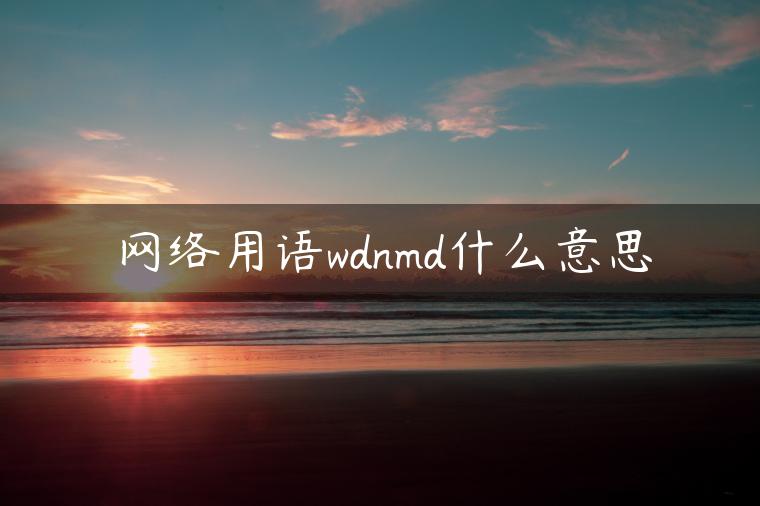 网络用语wdnmd什么意思