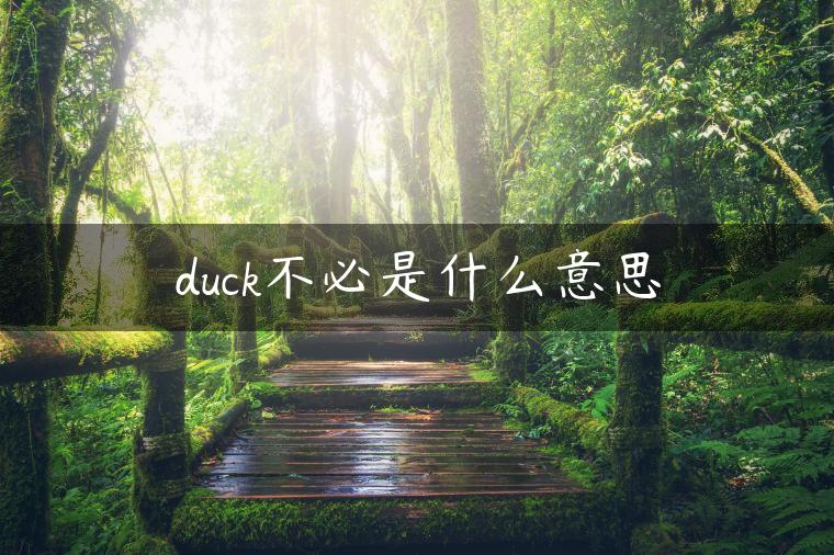 duck不必是什么意思