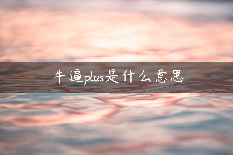 牛逼plus是什么意思