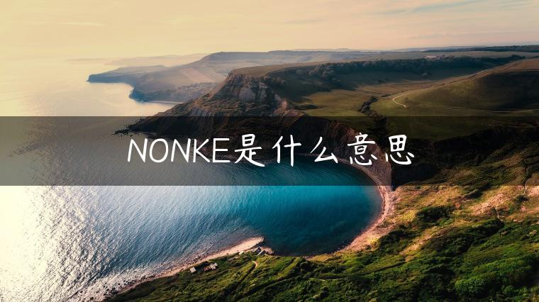 NONKE是什么意思