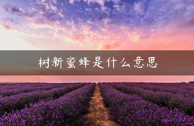 树新蜜蜂是什么意思