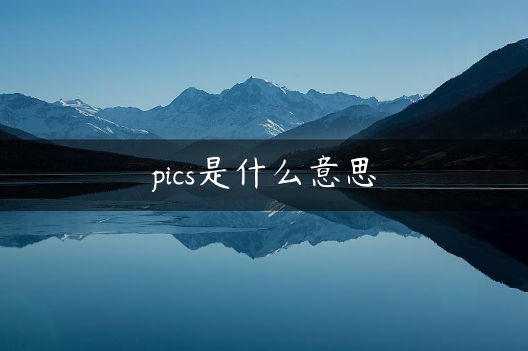 pics是什么意思