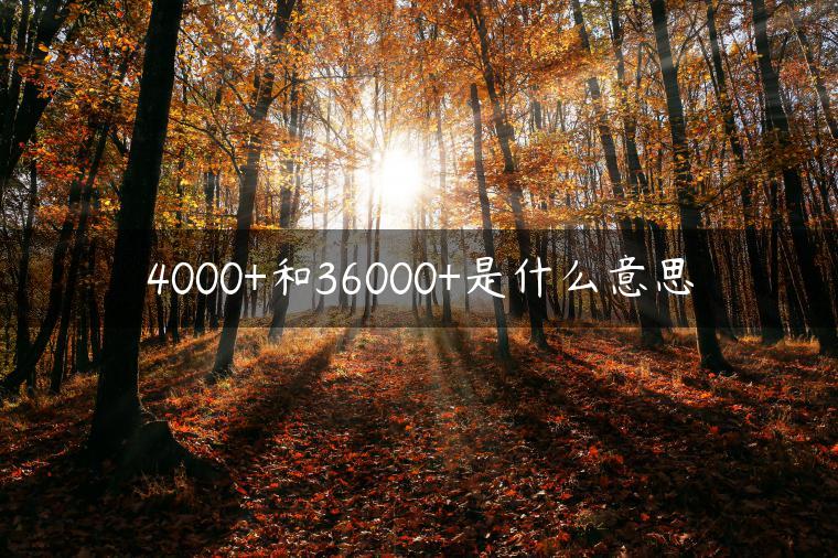 4000+和36000+是什么意思