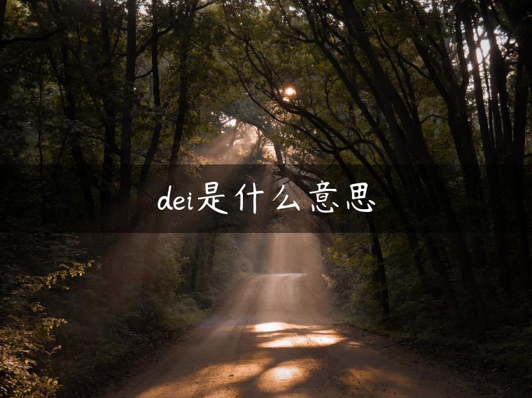 dei是什么意思