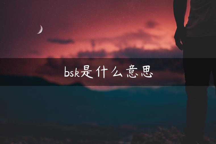 bsk是什么意思