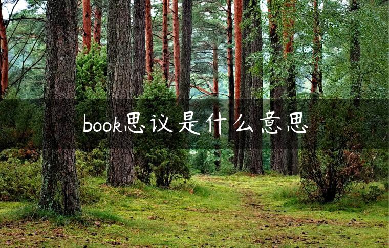 book思议是什么意思