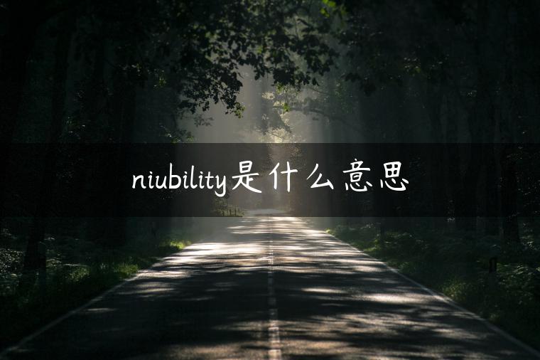 niubility是什么意思