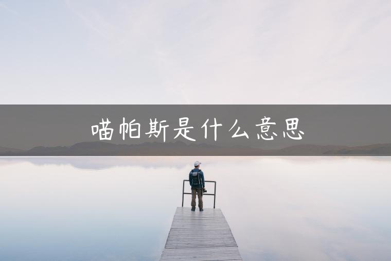 喵帕斯是什么意思