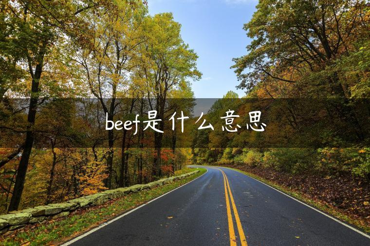 beef是什么意思