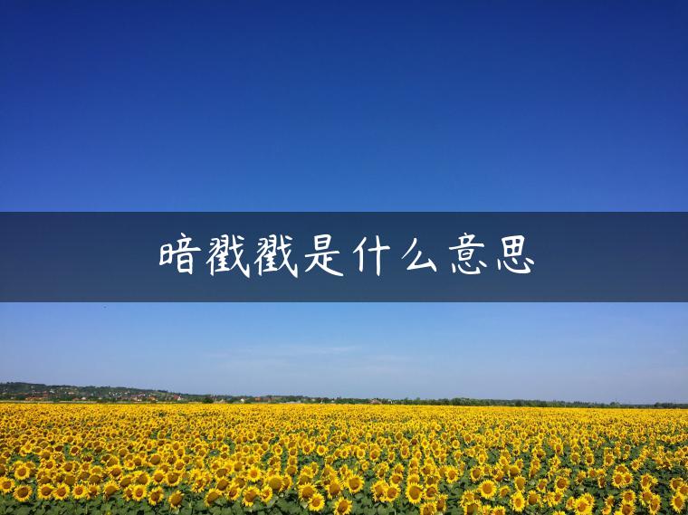 暗戳戳是什么意思