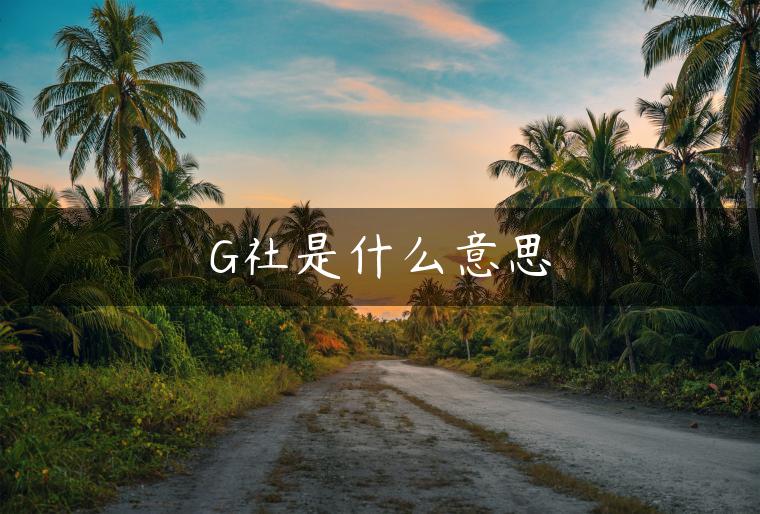 G社是什么意思