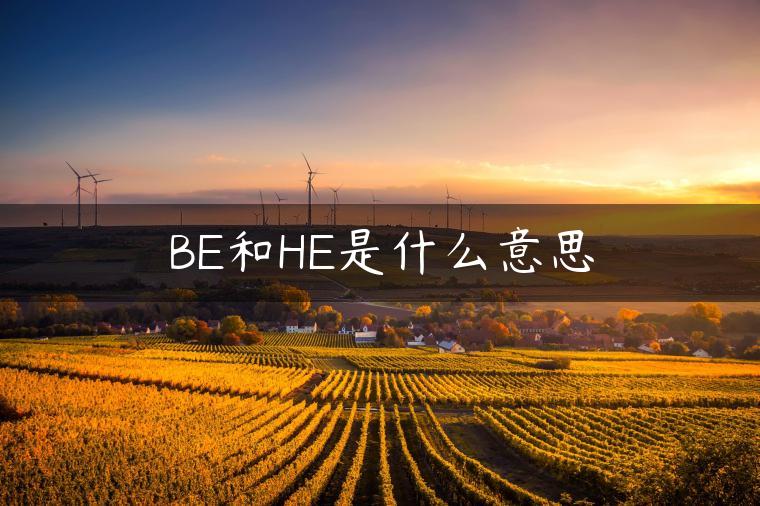 BE和HE是什么意思