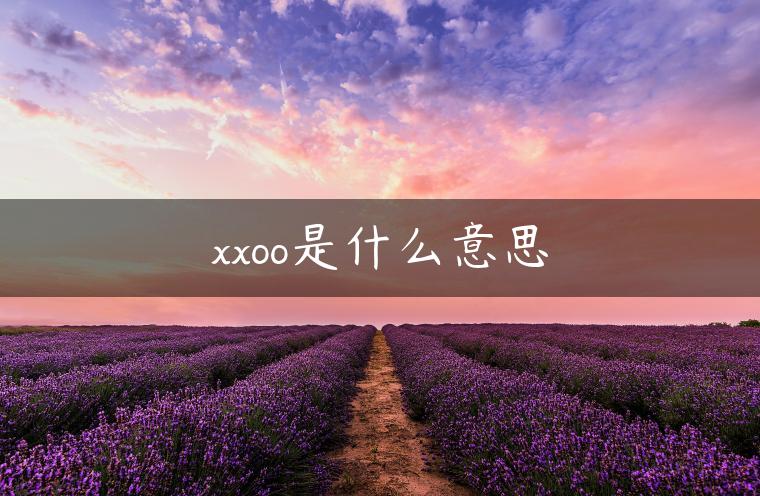 xxoo是什么意思