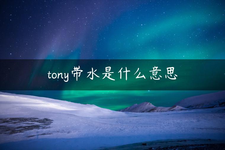 tony带水是什么意思