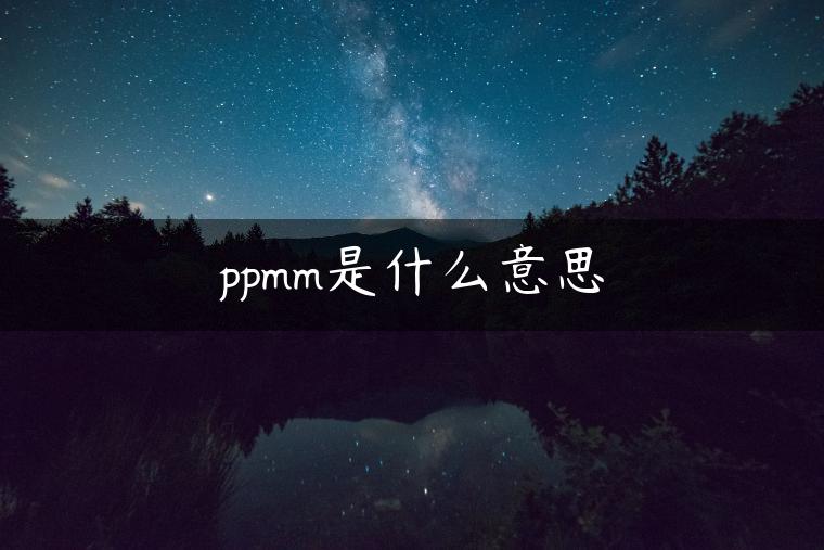 ppmm是什么意思