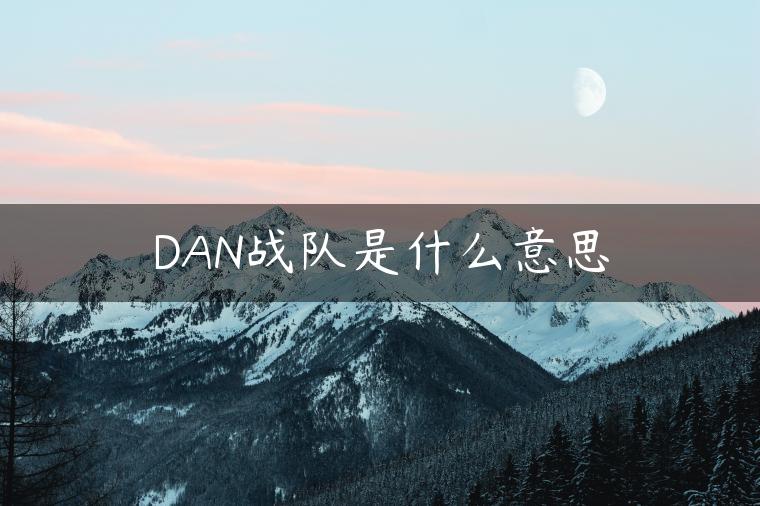 DAN战队是什么意思