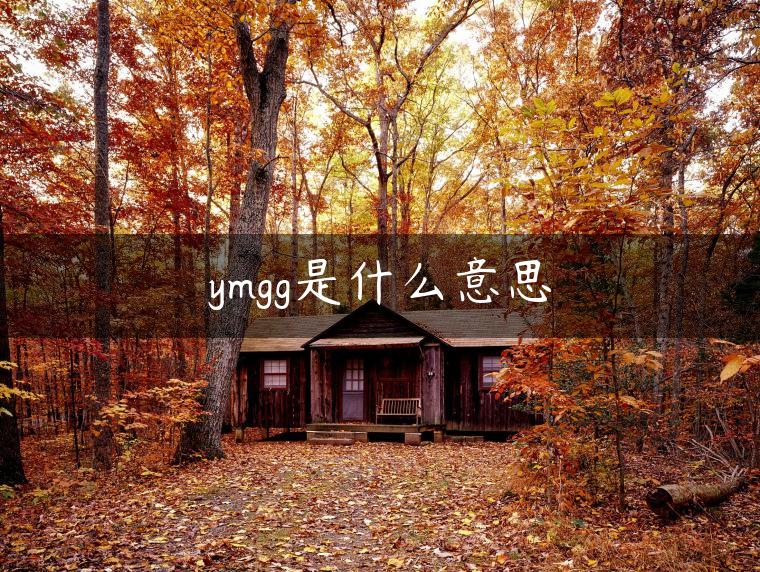 ymgg是什么意思