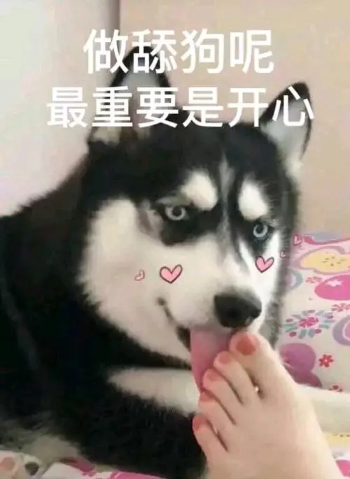 舔狗必死是什么意思