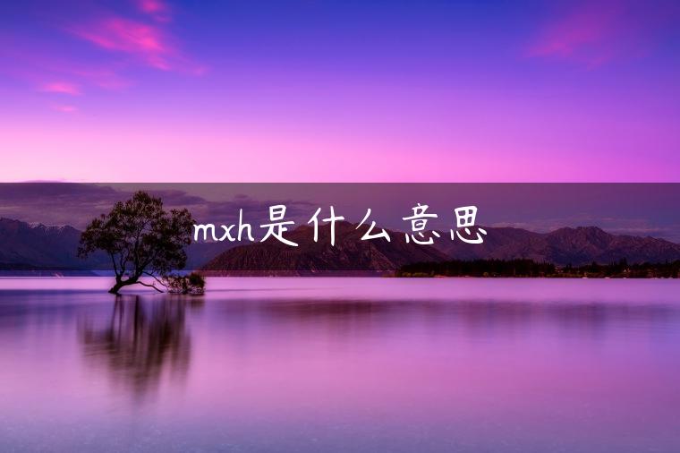 mxh是什么意思