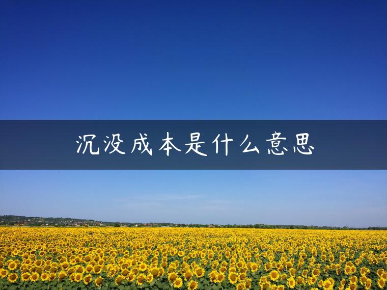 沉没成本是什么意思