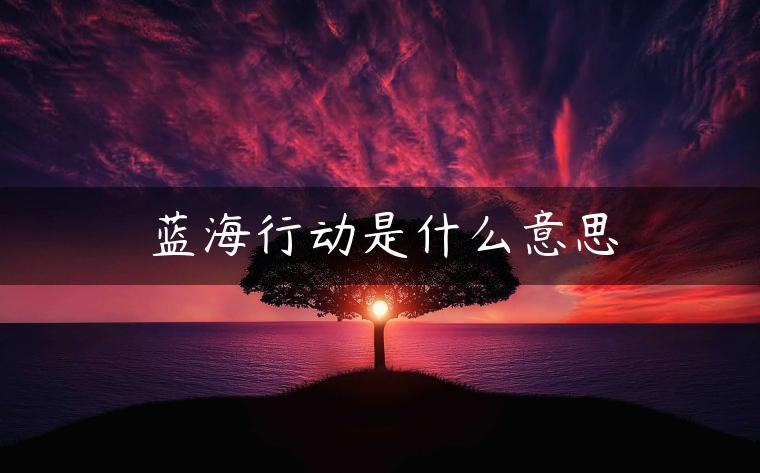 蓝海行动是什么意思