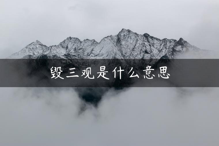 毁三观是什么意思