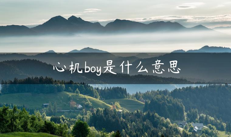 心机boy是什么意思